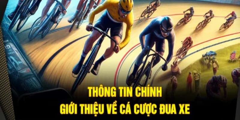 Cá cược đua xe 99OK