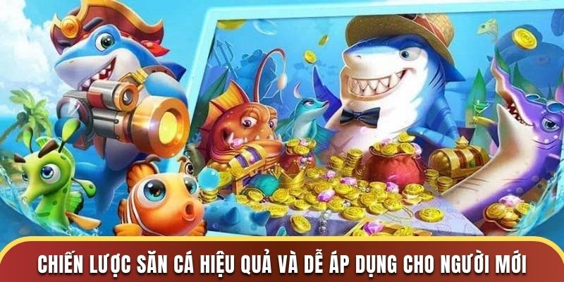 Chiến lược săn cá hiệu quả và dễ áp dụng cho người mới