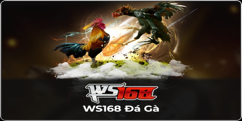 Sảnh WS168 Đá Gà 99OK - Sân Chơi Cá Cược Chọi Kê Siêu Hot 2025