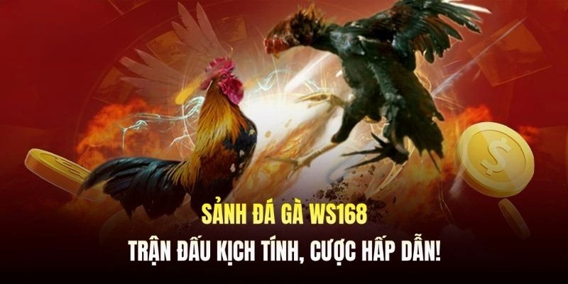 Sảnh WS168 Đá Gà 99OK - Sân Chơi Cá Cược Chọi Kê Siêu Hot 2025